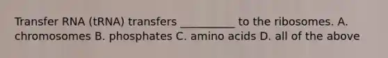 Transfer RNA (tRNA) transfers __________ to the ribosomes. A. chromosomes B. phosphates C. amino acids D. all of the above