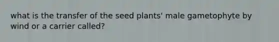 what is the transfer of the seed plants' male gametophyte by wind or a carrier called?