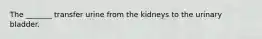 The _______ transfer urine from the kidneys to the urinary bladder.