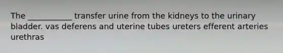 The ___________ transfer urine from the kidneys to the <a href='https://www.questionai.com/knowledge/kb9SdfFdD9-urinary-bladder' class='anchor-knowledge'>urinary bladder</a>. vas deferens and uterine tubes ureters efferent arteries urethras