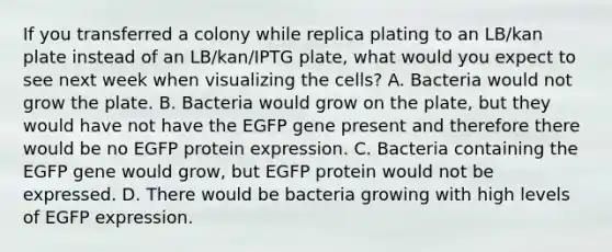 If you transferred a colony while replica plating to an LB/kan plate instead of an LB/kan/IPTG plate, what would you expect to see next week when visualizing the cells? A. Bacteria would not grow the plate. B. Bacteria would grow on the plate, but they would have not have the EGFP gene present and therefore there would be no EGFP protein expression. C. Bacteria containing the EGFP gene would grow, but EGFP protein would not be expressed. D. There would be bacteria growing with high levels of EGFP expression.