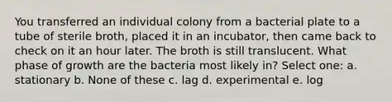 You transferred an individual colony from a bacterial plate to a tube of sterile broth, placed it in an incubator, then came back to check on it an hour later. The broth is still translucent. What phase of growth are the bacteria most likely in? Select one: a. stationary b. None of these c. lag d. experimental e. log