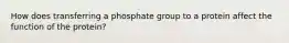 How does transferring a phosphate group to a protein affect the function of the protein?