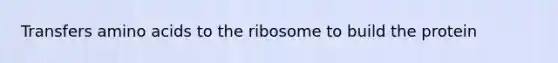 Transfers amino acids to the ribosome to build the protein