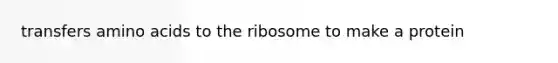 transfers amino acids to the ribosome to make a protein