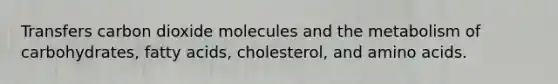 Transfers carbon dioxide molecules and the metabolism of carbohydrates, fatty acids, cholesterol, and amino acids.