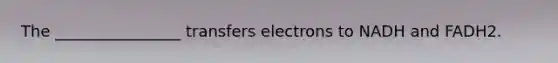 The ________________ transfers electrons to NADH and FADH2.