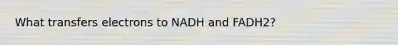 What transfers electrons to NADH and FADH2?