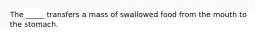 The _____ transfers a mass of swallowed food from the mouth to the stomach.