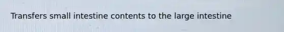 Transfers small intestine contents to the large intestine