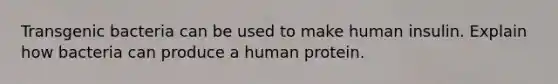 Transgenic bacteria can be used to make human insulin. Explain how bacteria can produce a human protein.