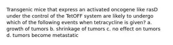 Transgenic mice that express an activated oncogene like rasD under the control of the TetOFF system are likely to undergo which of the following events when tetracycline is given? a. growth of tumors b. shrinkage of tumors c. no effect on tumors d. tumors become metastatic