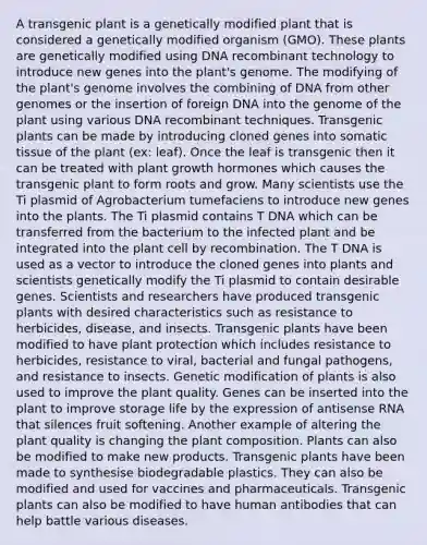 A transgenic plant is a genetically modified plant that is considered a genetically modified organism (GMO). These plants are genetically modified using DNA recombinant technology to introduce new genes into the plant's genome. The modifying of the plant's genome involves the combining of DNA from other genomes or the insertion of foreign DNA into the genome of the plant using various DNA recombinant techniques. Transgenic plants can be made by introducing cloned genes into somatic tissue of the plant (ex: leaf). Once the leaf is transgenic then it can be treated with plant growth hormones which causes the transgenic plant to form roots and grow. Many scientists use the Ti plasmid of Agrobacterium tumefaciens to introduce new genes into the plants. The Ti plasmid contains T DNA which can be transferred from the bacterium to the infected plant and be integrated into the plant cell by recombination. The T DNA is used as a vector to introduce the cloned genes into plants and scientists genetically modify the Ti plasmid to contain desirable genes. Scientists and researchers have produced transgenic plants with desired characteristics such as resistance to herbicides, disease, and insects. Transgenic plants have been modified to have plant protection which includes resistance to herbicides, resistance to viral, bacterial and fungal pathogens, and resistance to insects. Genetic modification of plants is also used to improve the plant quality. Genes can be inserted into the plant to improve storage life by the expression of antisense RNA that silences fruit softening. Another example of altering the plant quality is changing the plant composition. Plants can also be modified to make new products. Transgenic plants have been made to synthesise biodegradable plastics. They can also be modified and used for vaccines and pharmaceuticals. Transgenic plants can also be modified to have human antibodies that can help battle various diseases.