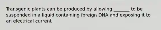 Transgenic plants can be produced by allowing _______ to be suspended in a liquid containing foreign DNA and exposing it to an electrical current