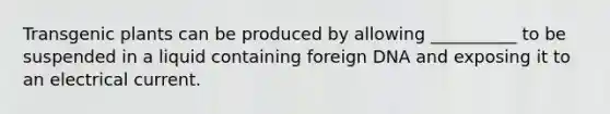 Transgenic plants can be produced by allowing __________ to be suspended in a liquid containing foreign DNA and exposing it to an electrical current.