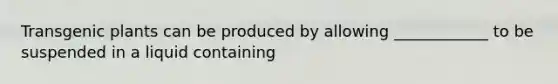 Transgenic plants can be produced by allowing ____________ to be suspended in a liquid containing