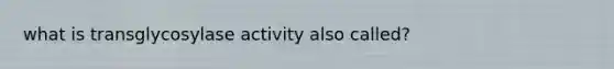 what is transglycosylase activity also called?