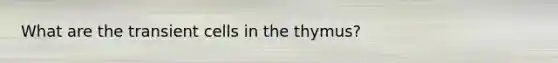 What are the transient cells in the thymus?