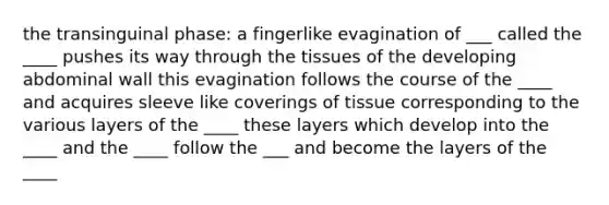 the transinguinal phase: a fingerlike evagination of ___ called the ____ pushes its way through the tissues of the developing abdominal wall this evagination follows the course of the ____ and acquires sleeve like coverings of tissue corresponding to the various layers of the ____ these layers which develop into the ____ and the ____ follow the ___ and become the layers of the ____