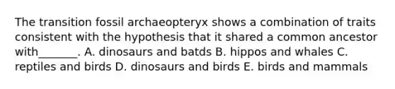 The transition fossil archaeopteryx shows a combination of traits consistent with the hypothesis that it shared a common ancestor with_______. A. dinosaurs and batds B. hippos and whales C. reptiles and birds D. dinosaurs and birds E. birds and mammals