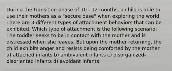 During the transition phase of 10 - 12 months, a child is able to use their mothers as a "secure base" when exploring the world. There are 3 different types of attachment behaviors that can be exhibited. Which type of attachment is the following scenario: The toddler seeks to be in contact with the mother and is distressed when she leaves. But upon the mother returning, the child exhibits anger and resists being comforted by the mother. a) attached infants b) ambivalent infants c) disorganized-disoriented infants d) avoidant infants