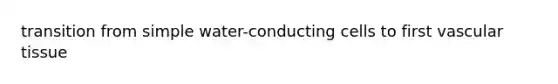 transition from simple water-conducting cells to first vascular tissue
