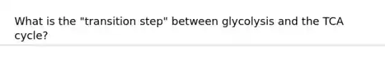 What is the "transition step" between glycolysis and the TCA cycle?