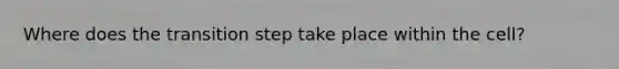 Where does the transition step take place within the cell?