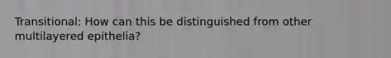 Transitional: How can this be distinguished from other multilayered epithelia?