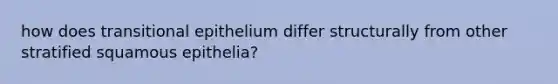 how does transitional epithelium differ structurally from other stratified squamous epithelia?