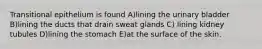 Transitional epithelium is found A)lining the urinary bladder B)lining the ducts that drain sweat glands C) lining kidney tubules D)lining the stomach E)at the surface of the skin.