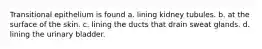 Transitional epithelium is found a. lining kidney tubules. b. at the surface of the skin. c. lining the ducts that drain sweat glands. d. lining the urinary bladder.