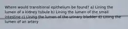 Where would transitional epithelium be found? a) Lining the lumen of a kidney tubule b) Lining the lumen of the small intestine c) Lining the lumen of the urinary bladder d) Lining the lumen of an artery