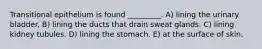 Transitional epithelium is found _________. A) lining the urinary bladder. B) lining the ducts that drain sweat glands. C) lining kidney tubules. D) lining the stomach. E) at the surface of skin.