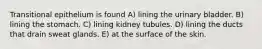 Transitional epithelium is found A) lining the urinary bladder. B) lining the stomach. C) lining kidney tubules. D) lining the ducts that drain sweat glands. E) at the surface of the skin.