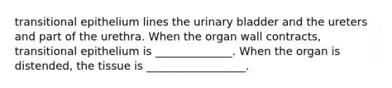 transitional epithelium lines the <a href='https://www.questionai.com/knowledge/kb9SdfFdD9-urinary-bladder' class='anchor-knowledge'>urinary bladder</a> and the ureters and part of the urethra. When the organ wall contracts, transitional epithelium is ______________. When the organ is distended, the tissue is __________________.