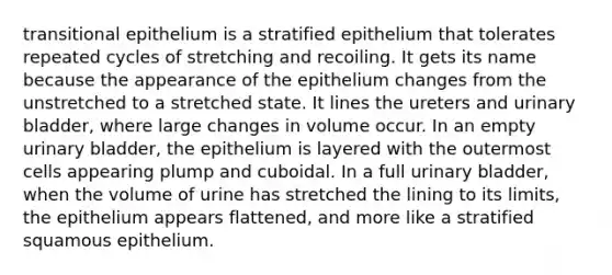 transitional epithelium is a stratified epithelium that tolerates repeated cycles of stretching and recoiling. It gets its name because the appearance of the epithelium changes from the unstretched to a stretched state. It lines the ureters and urinary bladder, where large changes in volume occur. In an empty urinary bladder, the epithelium is layered with the outermost cells appearing plump and cuboidal. In a full urinary bladder, when the volume of urine has stretched the lining to its limits, the epithelium appears flattened, and more like a stratified squamous epithelium.