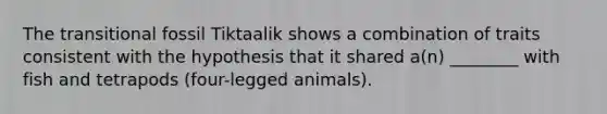 The transitional fossil Tiktaalik shows a combination of traits consistent with the hypothesis that it shared a(n) ________ with fish and tetrapods (four-legged animals).