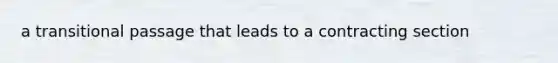 a transitional passage that leads to a contracting section