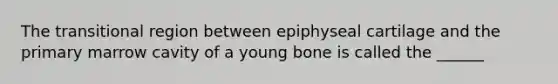 The transitional region between epiphyseal cartilage and the primary marrow cavity of a young bone is called the ______