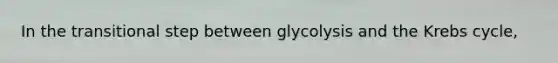 In the transitional step between glycolysis and the Krebs cycle,