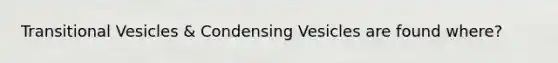 Transitional Vesicles & Condensing Vesicles are found where?