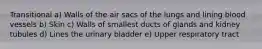 Transitional a) Walls of the air sacs of the lungs and lining blood vessels b) Skin c) Walls of smallest ducts of glands and kidney tubules d) Lines the urinary bladder e) Upper respiratory tract