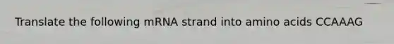 Translate the following mRNA strand into amino acids CCAAAG