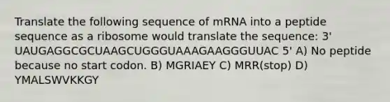 Translate the following sequence of mRNA into a peptide sequence as a ribosome would translate the sequence: 3' UAUGAGGCGCUAAGCUGGGUAAAGAAGGGUUAC 5' A) No peptide because no start codon. B) MGRIAEY C) MRR(stop) D) YMALSWVKKGY