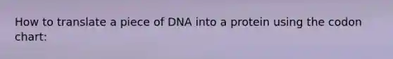 How to translate a piece of DNA into a protein using the codon chart: