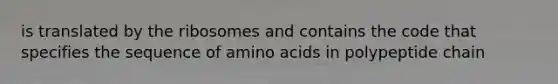 is translated by the ribosomes and contains the code that specifies the sequence of amino acids in polypeptide chain