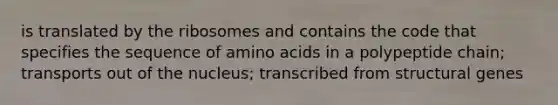 is translated by the ribosomes and contains the code that specifies the sequence of amino acids in a polypeptide chain; transports out of the nucleus; transcribed from structural genes