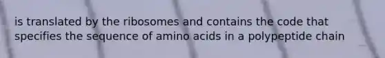 is translated by the ribosomes and contains the code that specifies the sequence of amino acids in a polypeptide chain