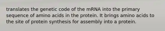 translates the genetic code of the mRNA into the primary sequence of amino acids in the protein. It brings amino acids to the site of protein synthesis for assembly into a protein.